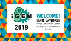 iGEM 2019: Sesiones de formacin del equipo preuniversitario NavarraBG - Biologa Sinttica