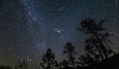 Pertseiden behaketa El Ferialen