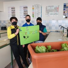 Abonos Terrestres