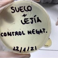 La regla de los 5 segundos