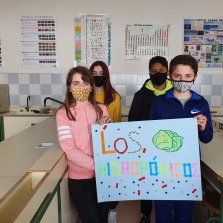 Lechugas Acuticas