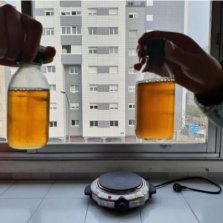 Los Anti-Microorganismos