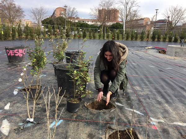 Una alumna de IES Ibaialde durante la plantacin. 
