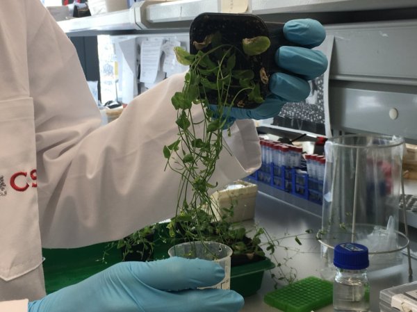 NavarraBG: Comienzo del proyecto