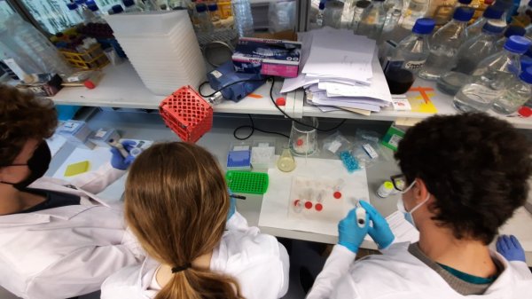 Navarra-Biogalaxy3 en la sesin de formacin del laboratorio CSIC-IDAB