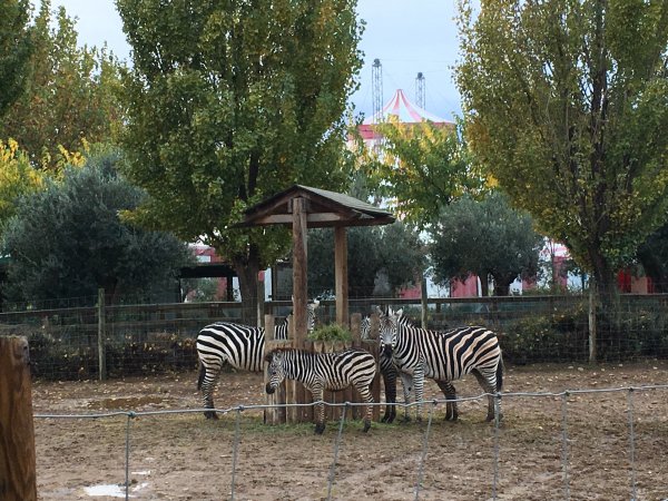 Ni la lluvia detuvo a los equipos FLL Navarra en Sendaviva