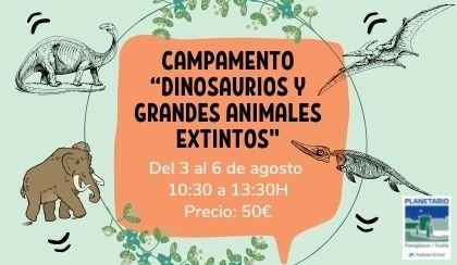 Campamento 