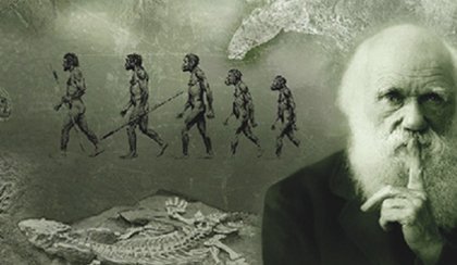 D�a de Darwin 2018. 