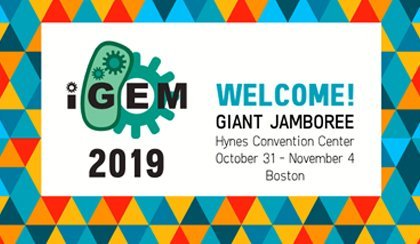 iGEM 2019: Sesiones de formacin del equipo preuniversitario NavarraBG - Biologa Sinttica
