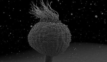 Nanocam